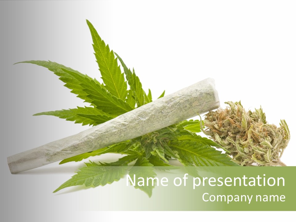 Marijuana Abuse Relaxing PowerPoint Template