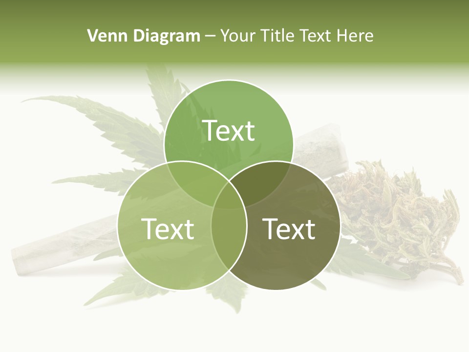 Marijuana Abuse Relaxing PowerPoint Template