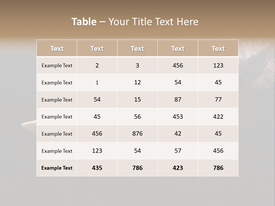 Airforce Veteran Aircraft PowerPoint Template