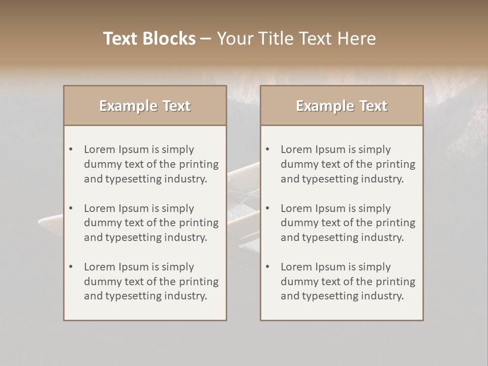 Airforce Veteran Aircraft PowerPoint Template