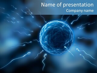 Cell Seed Reproduction PowerPoint Template