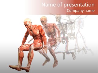 Skin Naked Structure PowerPoint Template