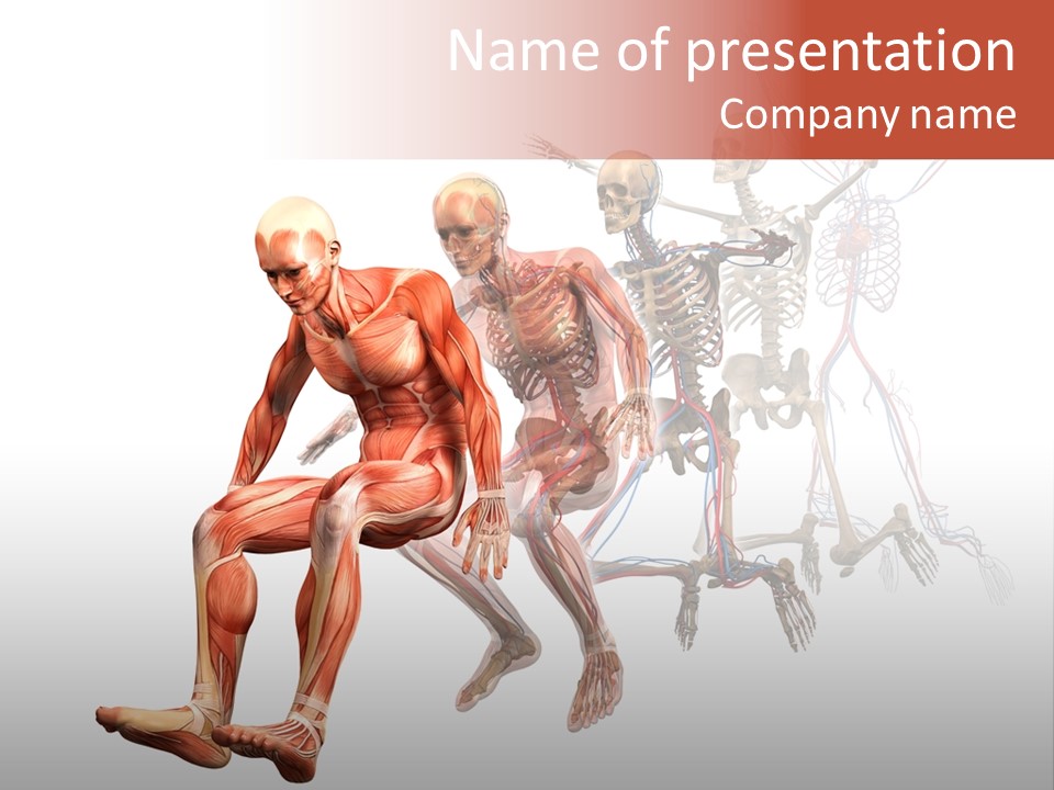 Skin Naked Structure PowerPoint Template