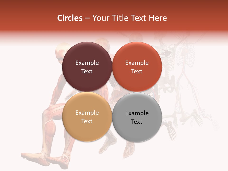 Skin Naked Structure PowerPoint Template