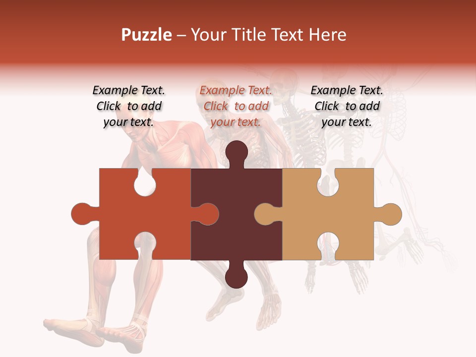 Skin Naked Structure PowerPoint Template