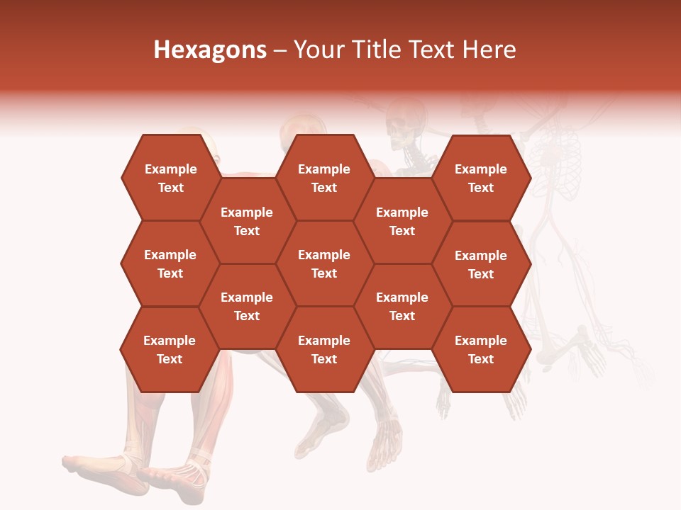 Skin Naked Structure PowerPoint Template