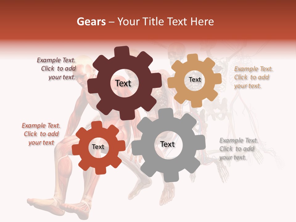 Skin Naked Structure PowerPoint Template