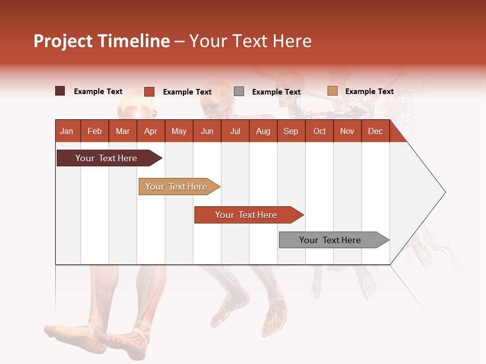 Skin Naked Structure PowerPoint Template