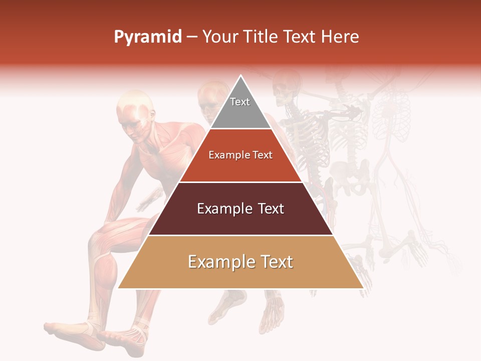 Skin Naked Structure PowerPoint Template