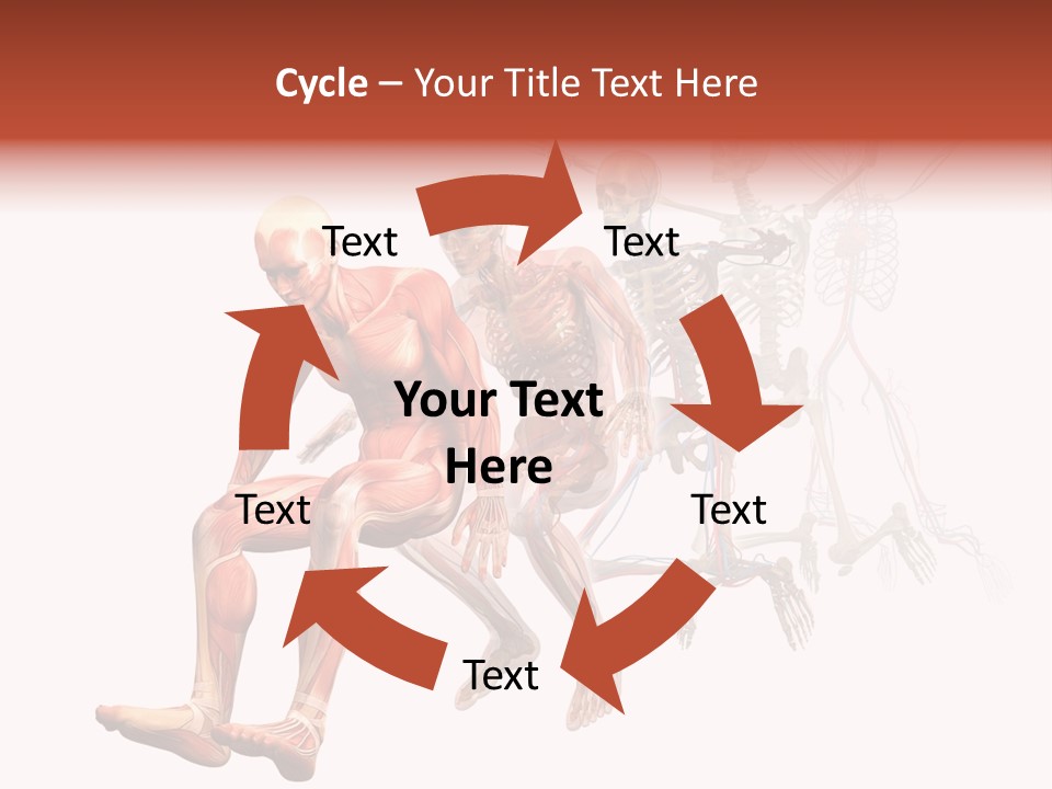 Skin Naked Structure PowerPoint Template