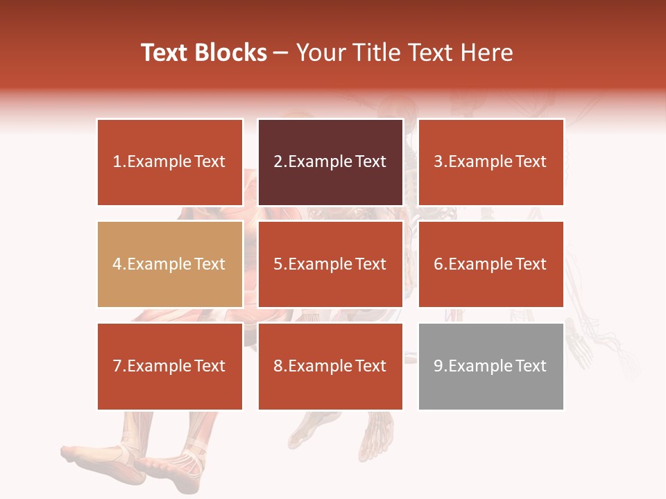 Skin Naked Structure PowerPoint Template