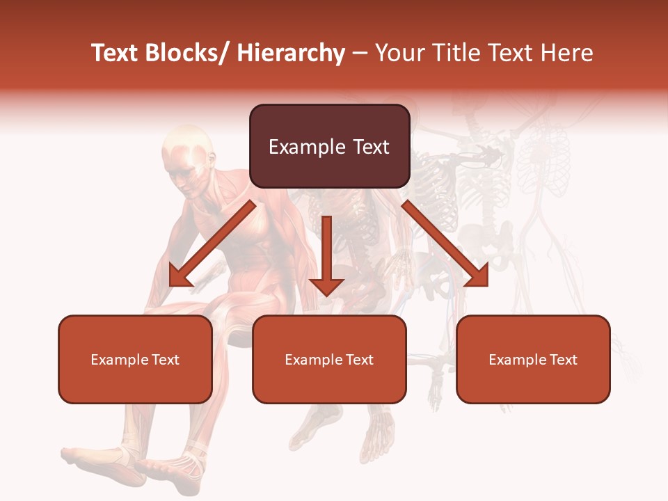 Skin Naked Structure PowerPoint Template