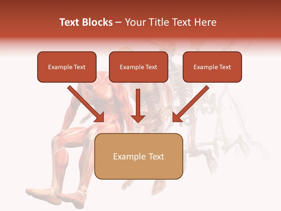 Skin Naked Structure PowerPoint Template