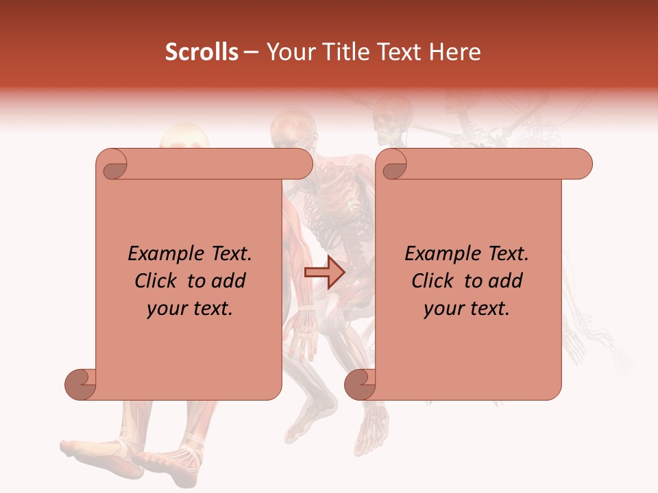 Skin Naked Structure PowerPoint Template