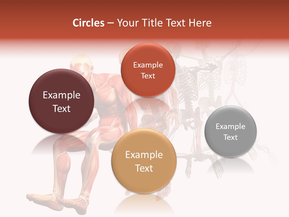 Skin Naked Structure PowerPoint Template