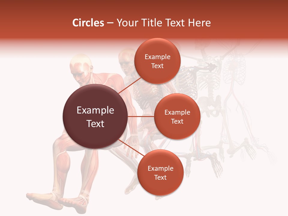 Skin Naked Structure PowerPoint Template