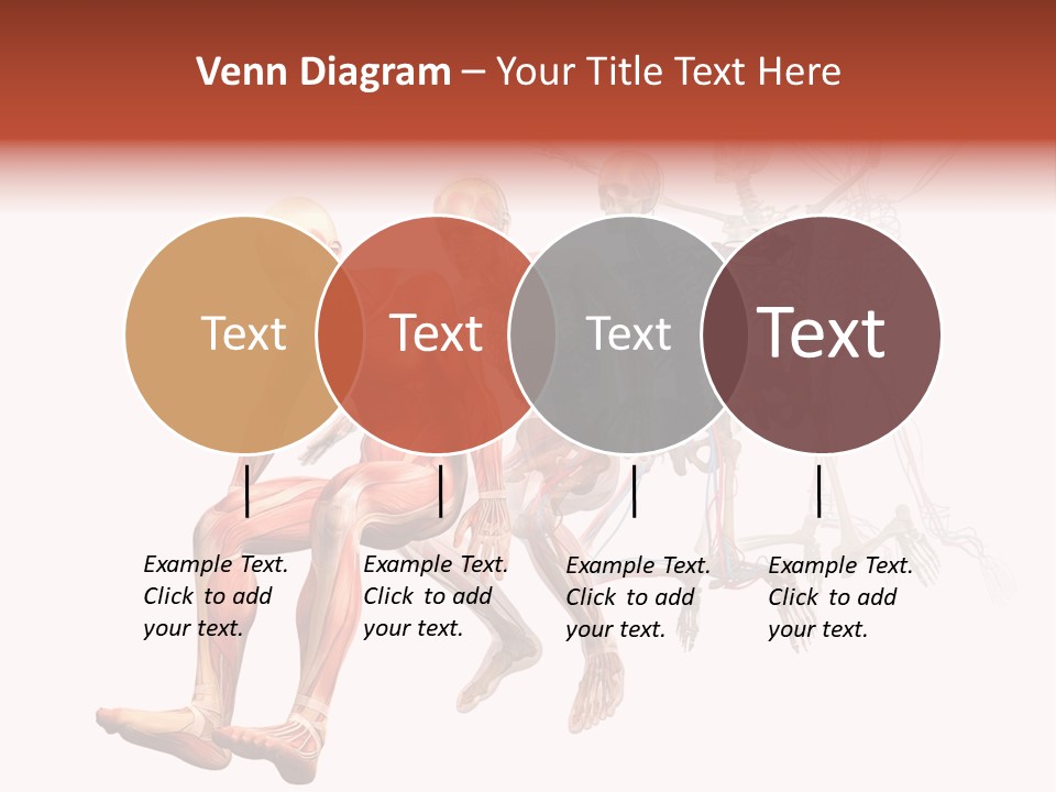 Skin Naked Structure PowerPoint Template