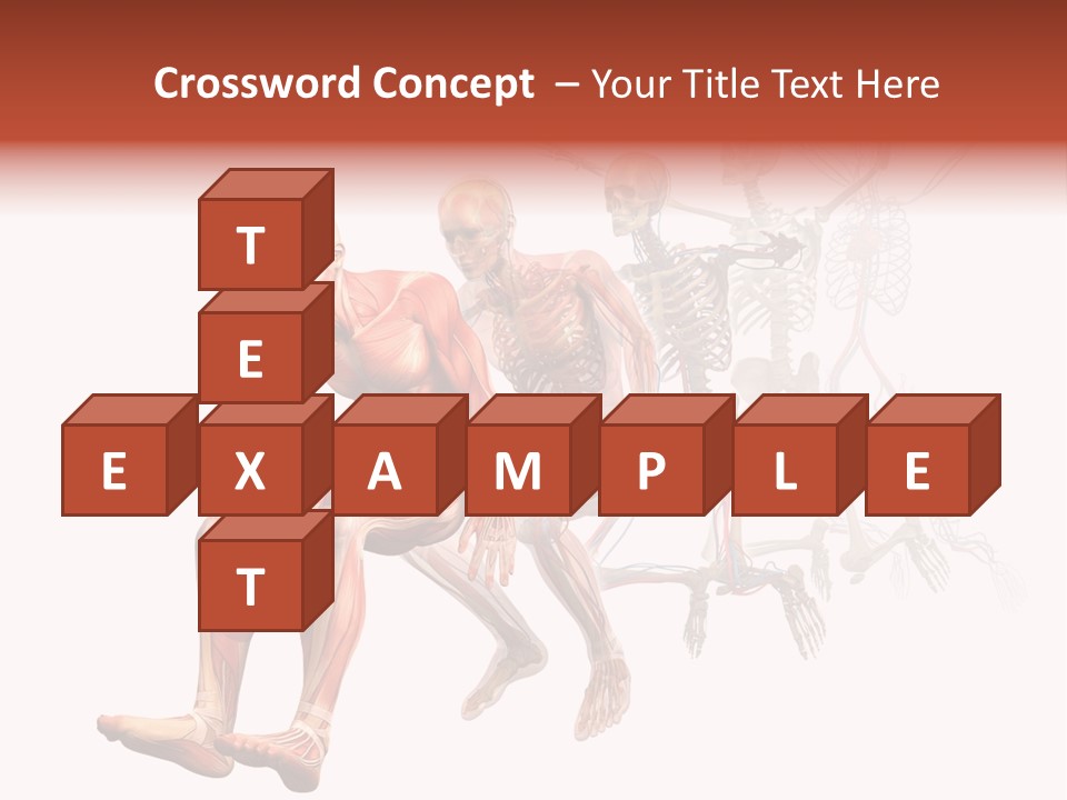 Skin Naked Structure PowerPoint Template