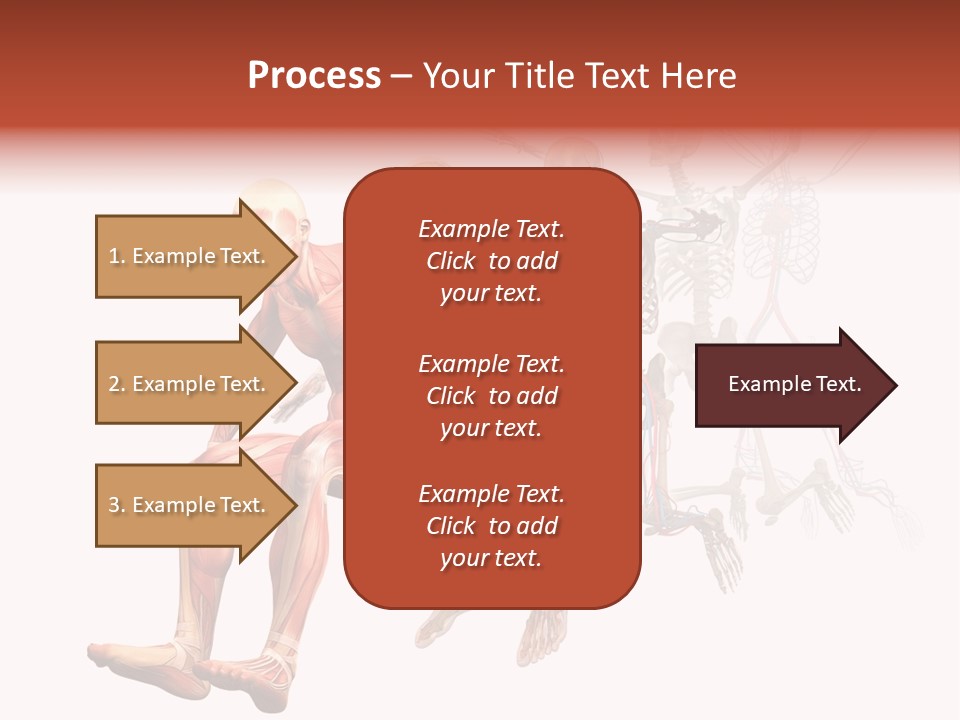Skin Naked Structure PowerPoint Template