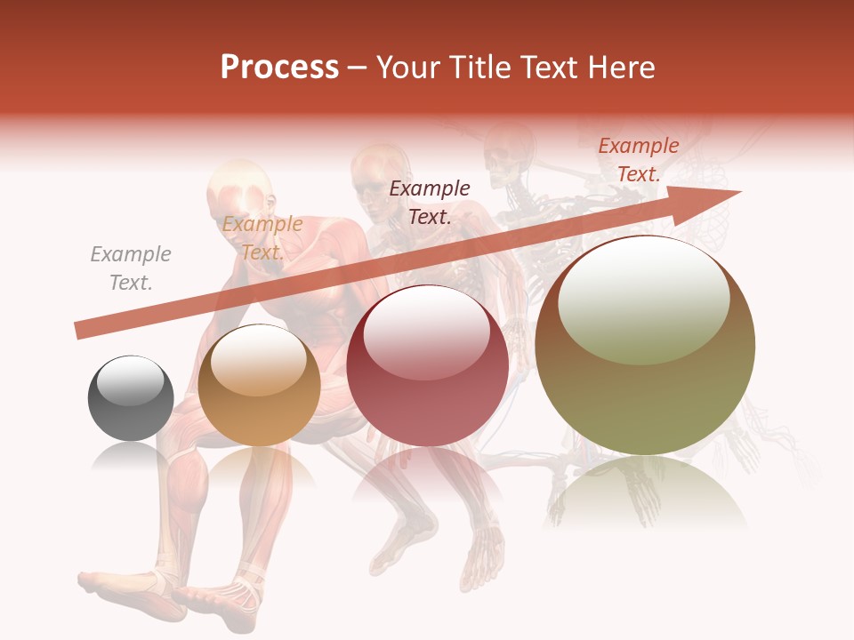 Skin Naked Structure PowerPoint Template