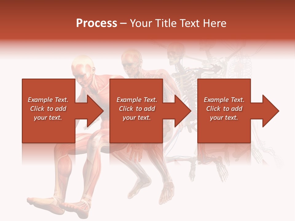 Skin Naked Structure PowerPoint Template