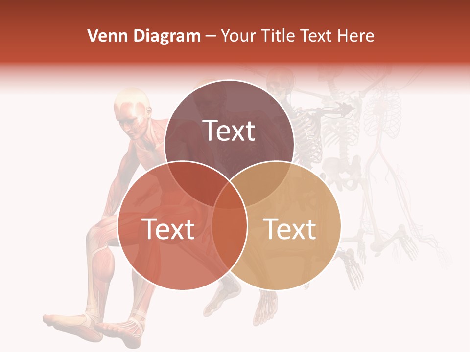 Skin Naked Structure PowerPoint Template