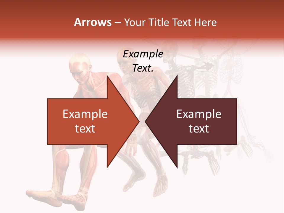 Skin Naked Structure PowerPoint Template