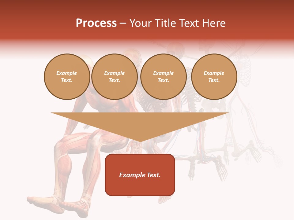 Skin Naked Structure PowerPoint Template