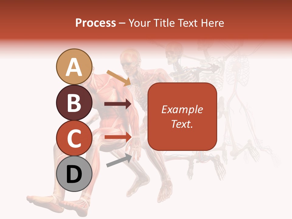 Skin Naked Structure PowerPoint Template