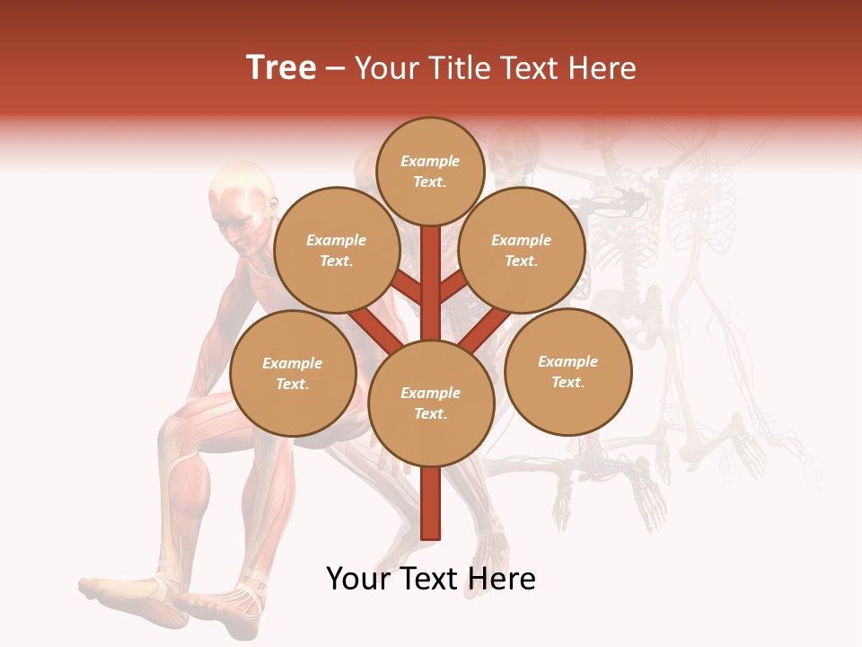 Skin Naked Structure PowerPoint Template