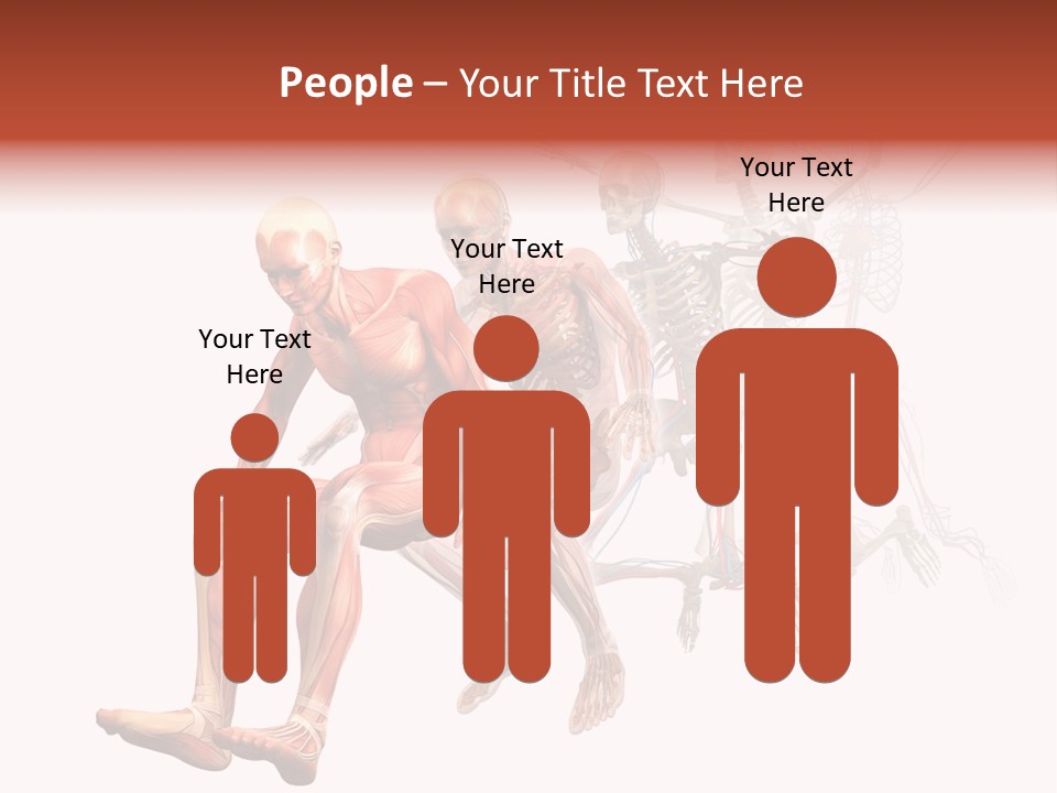 Skin Naked Structure PowerPoint Template