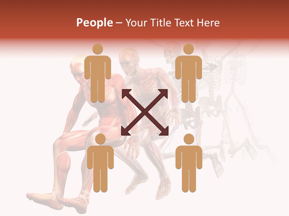 Skin Naked Structure PowerPoint Template