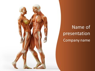 Human  Angle PowerPoint Template