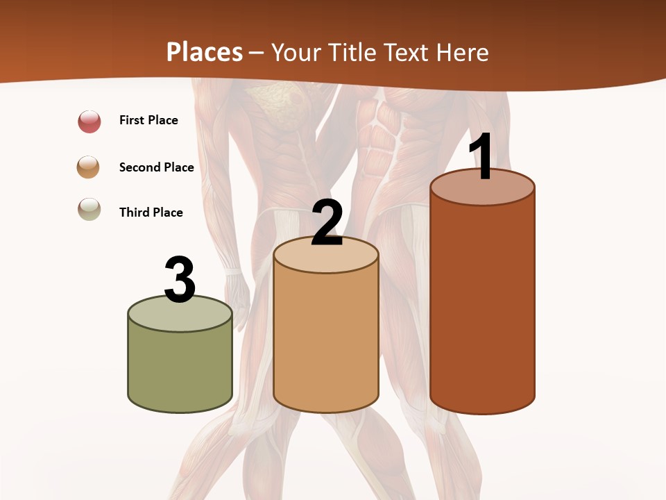 Human  Angle PowerPoint Template