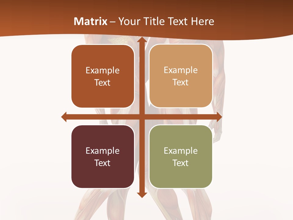 Human  Angle PowerPoint Template