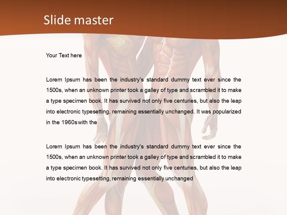 Human  Angle PowerPoint Template