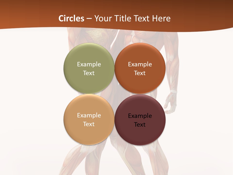 Human  Angle PowerPoint Template