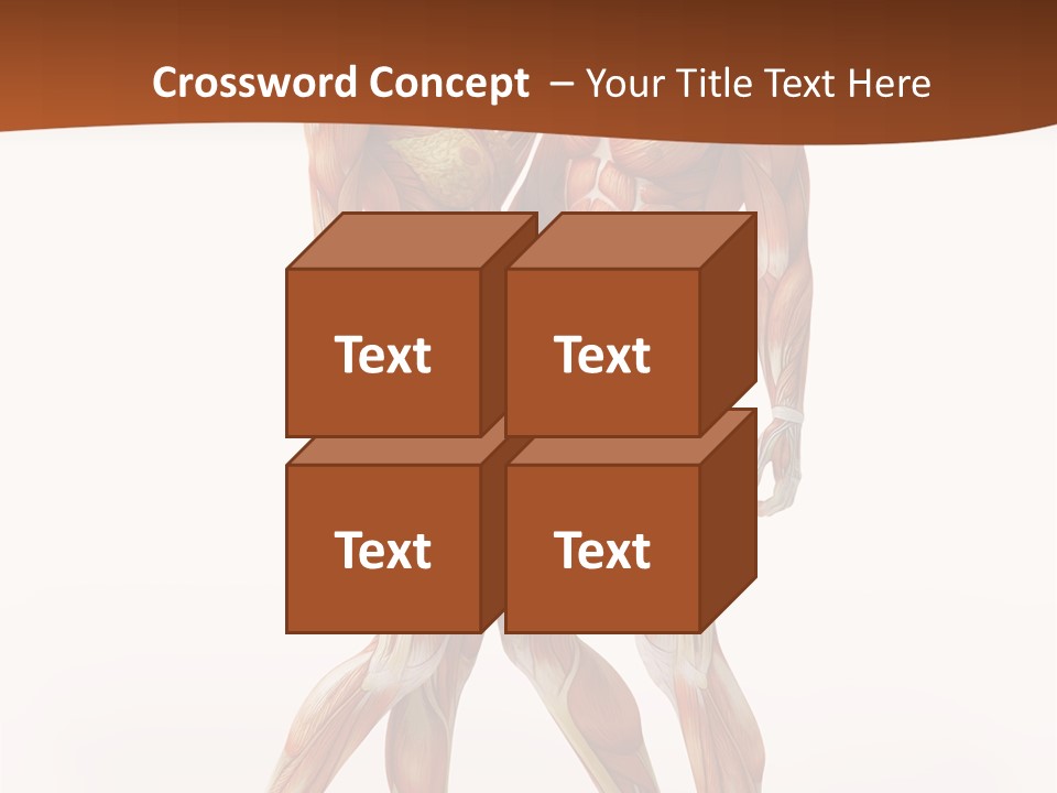 Human  Angle PowerPoint Template