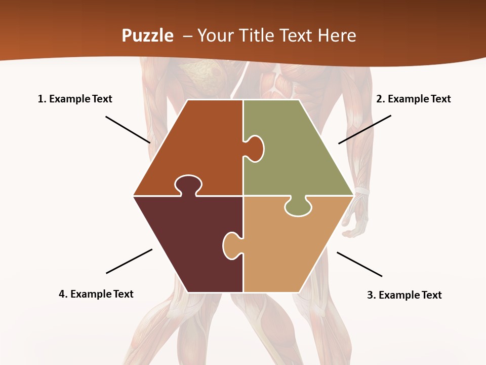 Human  Angle PowerPoint Template