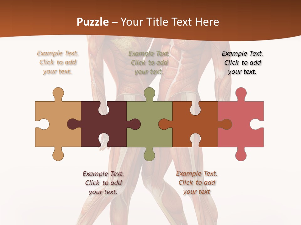 Human  Angle PowerPoint Template