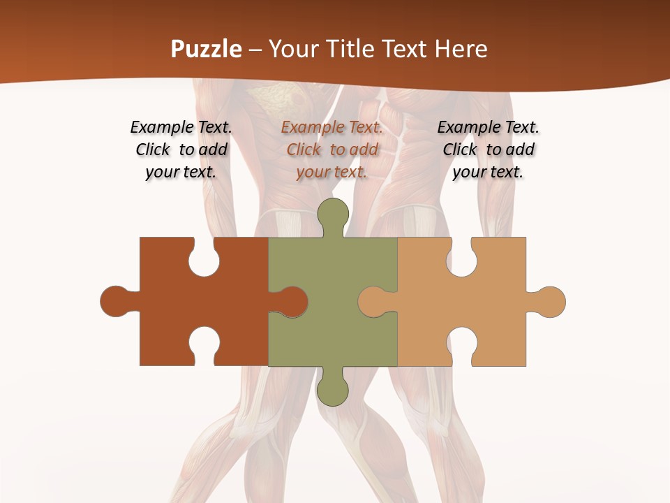 Human  Angle PowerPoint Template