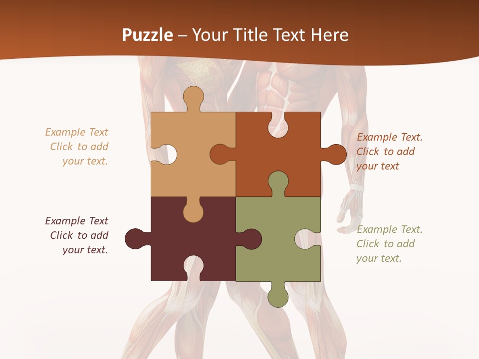 Human  Angle PowerPoint Template