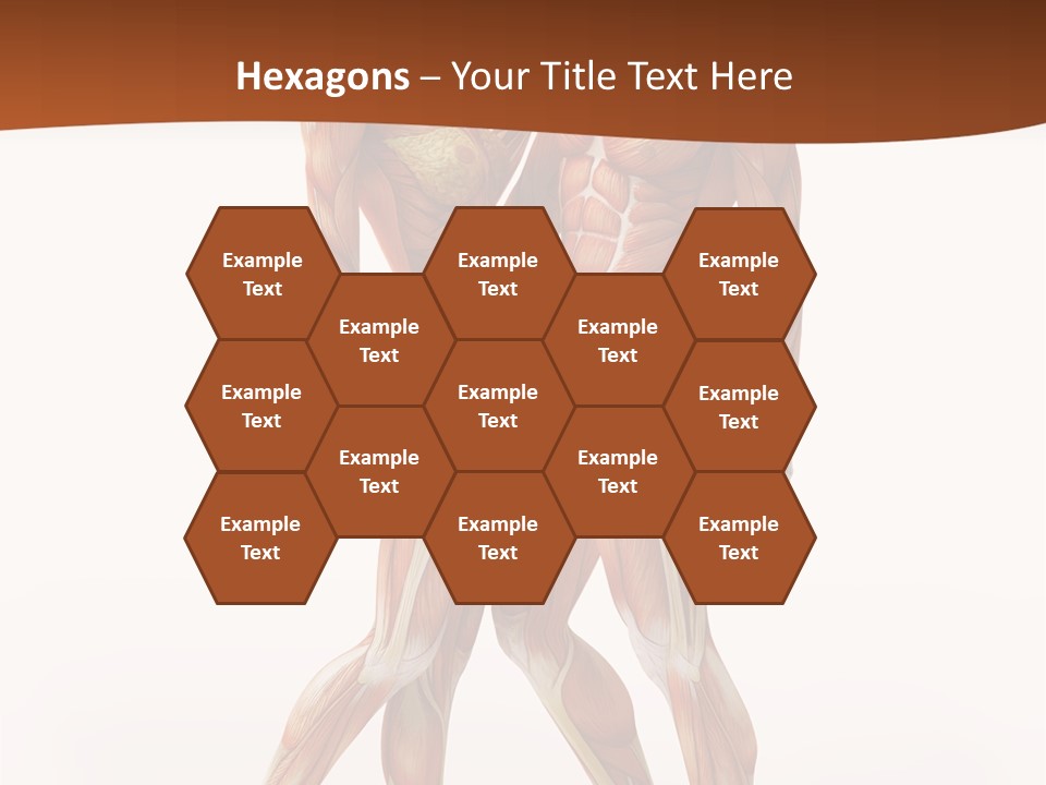 Human  Angle PowerPoint Template