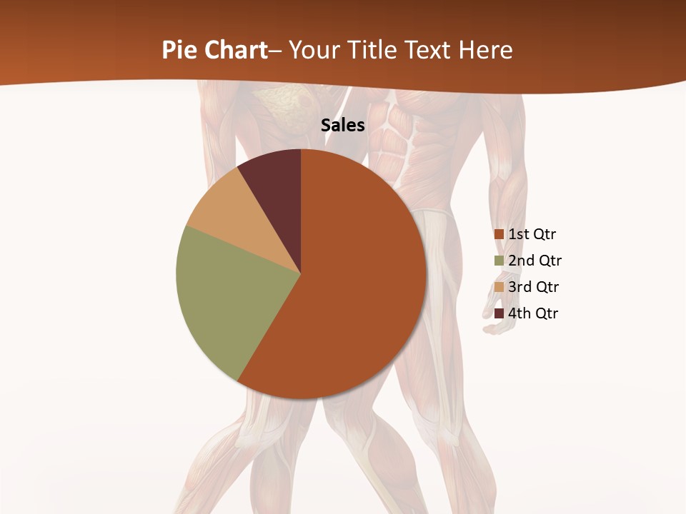 Human  Angle PowerPoint Template
