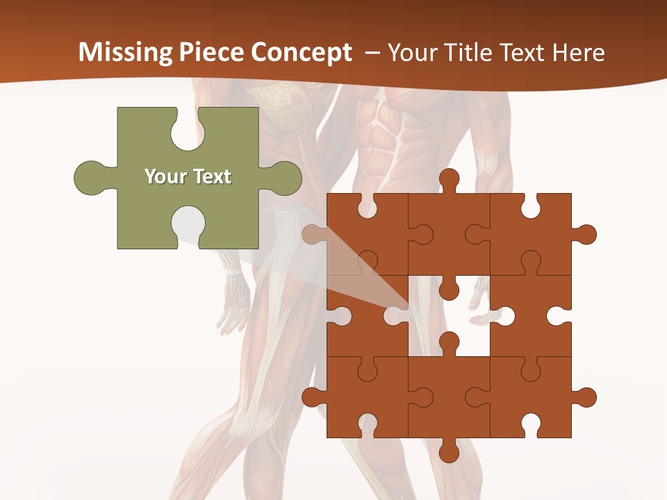 Human  Angle PowerPoint Template