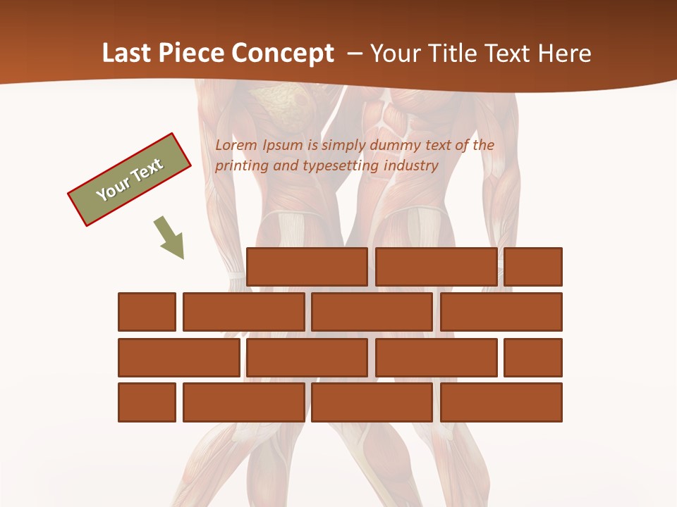 Human  Angle PowerPoint Template