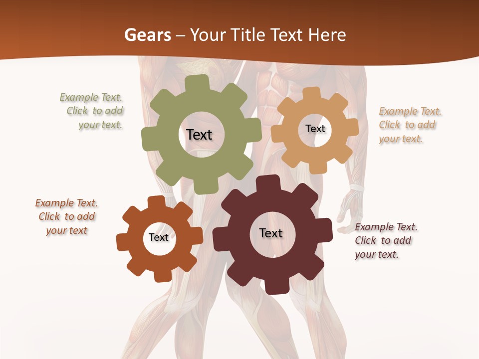 Human  Angle PowerPoint Template