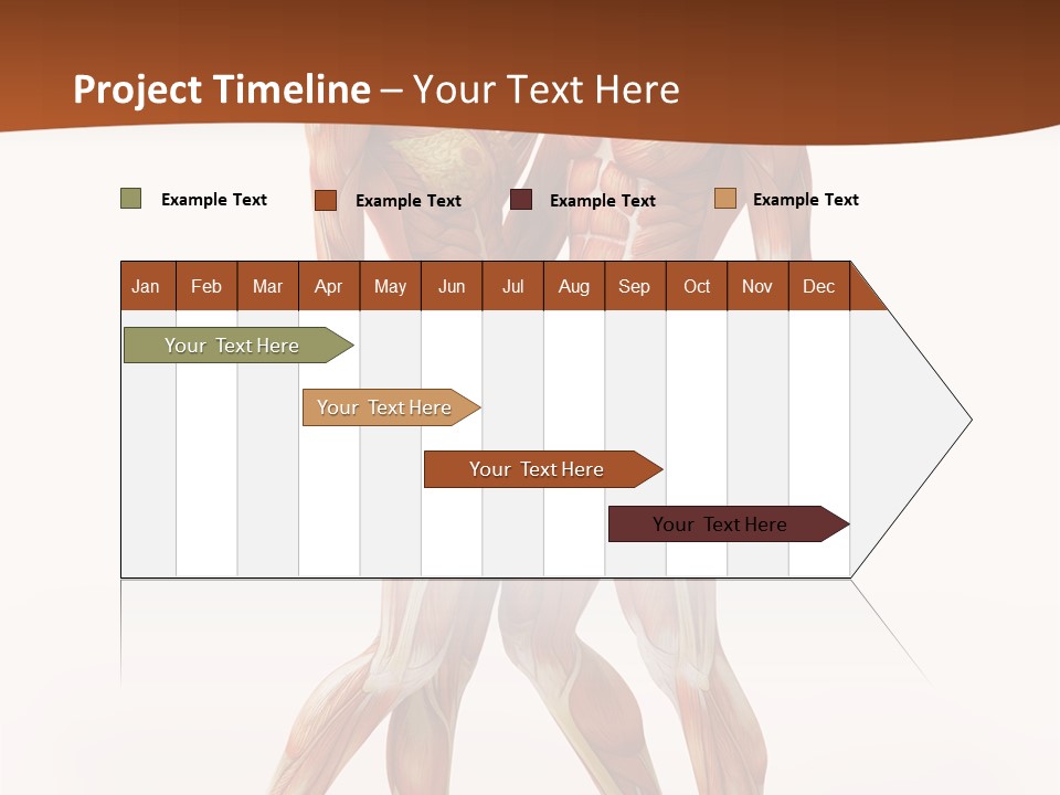 Human  Angle PowerPoint Template