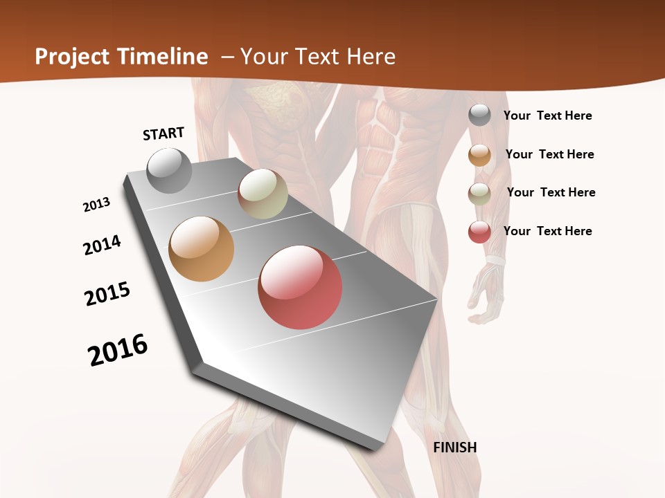 Human  Angle PowerPoint Template