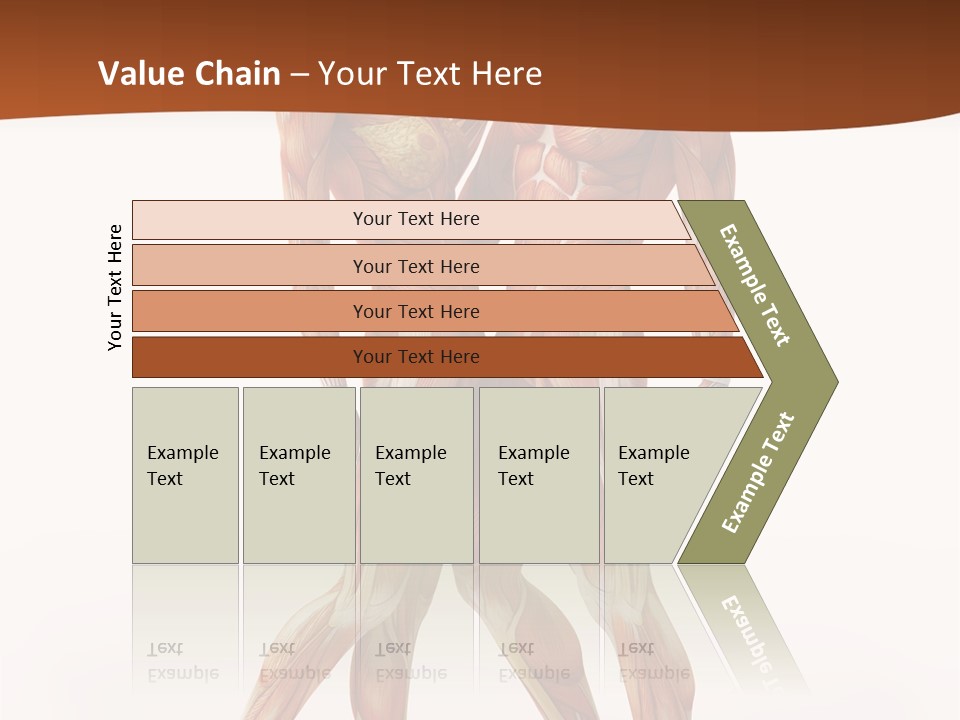 Human  Angle PowerPoint Template